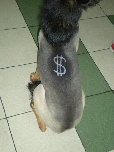 Фигурное выстригание