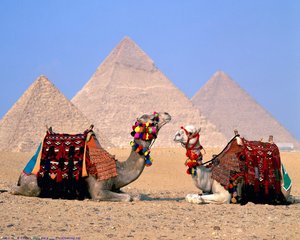 Тури до Єгипту, ОАЕ