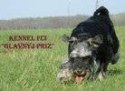 Питомник Glavnyj Priz Питомник Glavnyj Priz