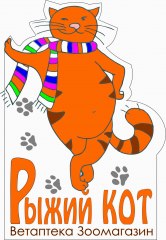 Рудий кіт, ветеринарний центр Полтава