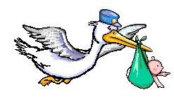 Дитячий садок №5 м. Кременчук