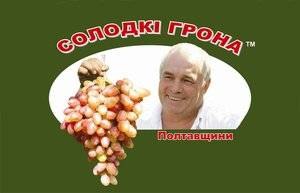 Солодкі грона Полтавщини