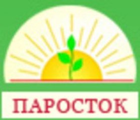 Частная школа "Паросток"