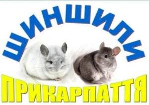 Господарство "Шиншили Прикарпаття"