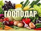 Селянське фермерське господарство "ГОСПОДАР" Селянське фермерське господарство "ГОСПОДАР"