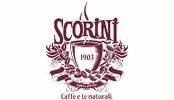 Scorini