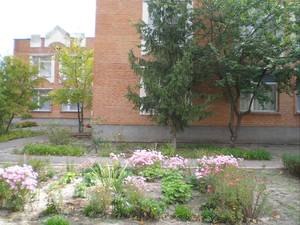 Полтавское дошкольное учебное заведение (ясли-сад) №2 «Веночек»