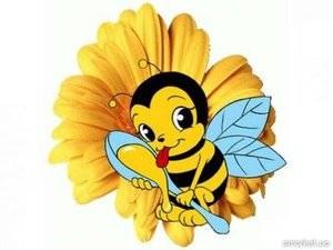 МЕД З СИНЯКА