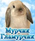 Интернет магазин «Мурчик-Гламурчик»
